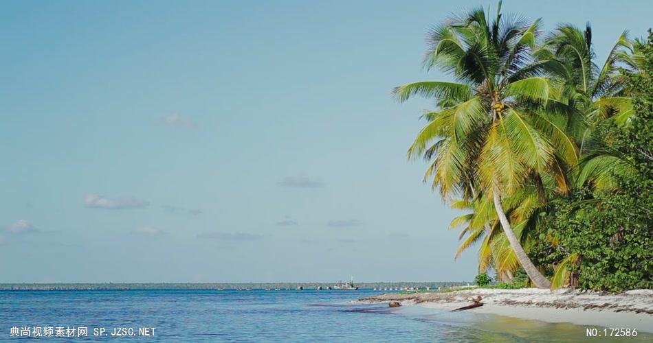 沙滩椰树 款A19110异国海滩的风景无音乐_batch led视频背景下载
