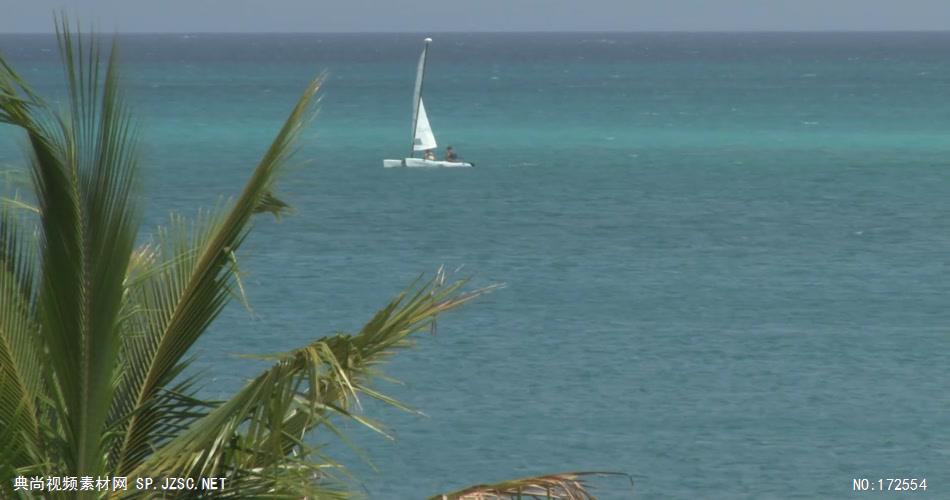 沙滩椰树 款A19152棕榈叶海洋帆船实拍视频无音乐_batch led视频背景下载