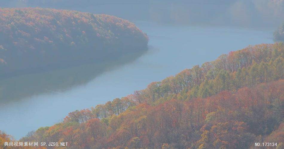 树林树木秋天风景 AM053-21植物 视频下载