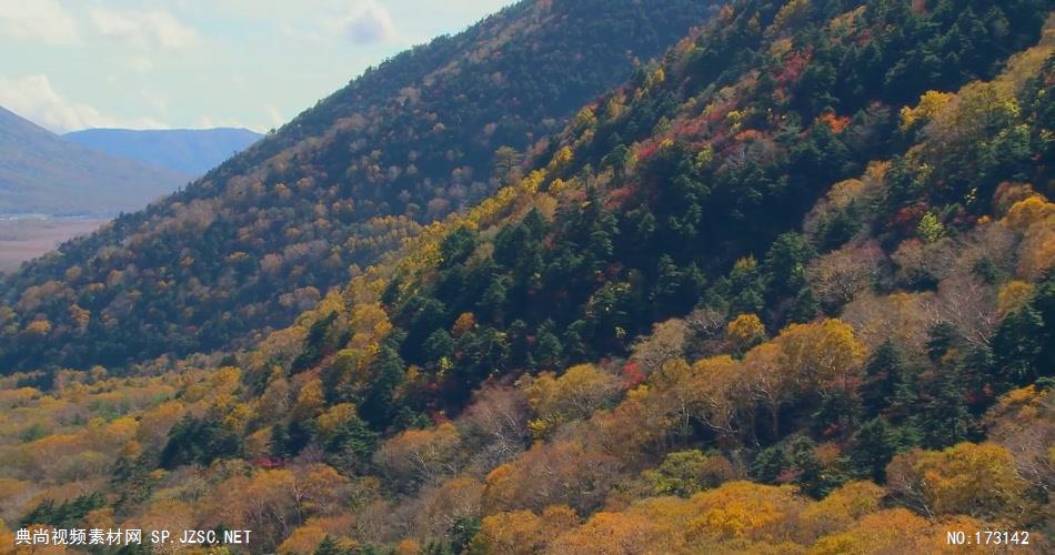 树林树木秋天风景 AM053-14植物 视频下载