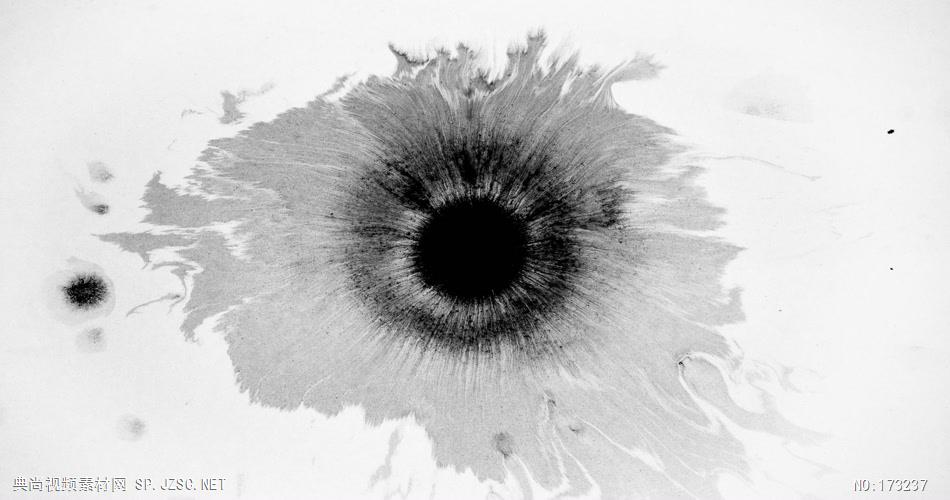 Ink Bleed 2墨水视频