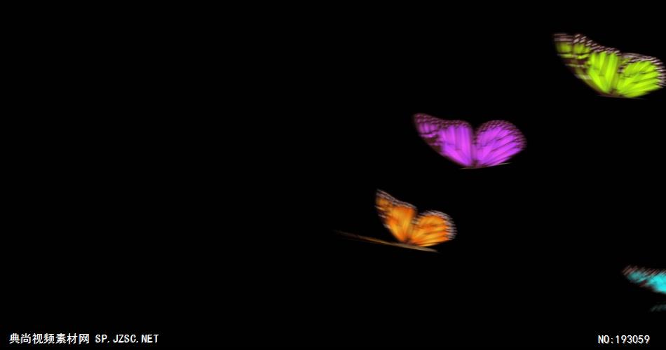 十三个漂亮缤纷的蝴蝶素材不带通道2 视频素材下载