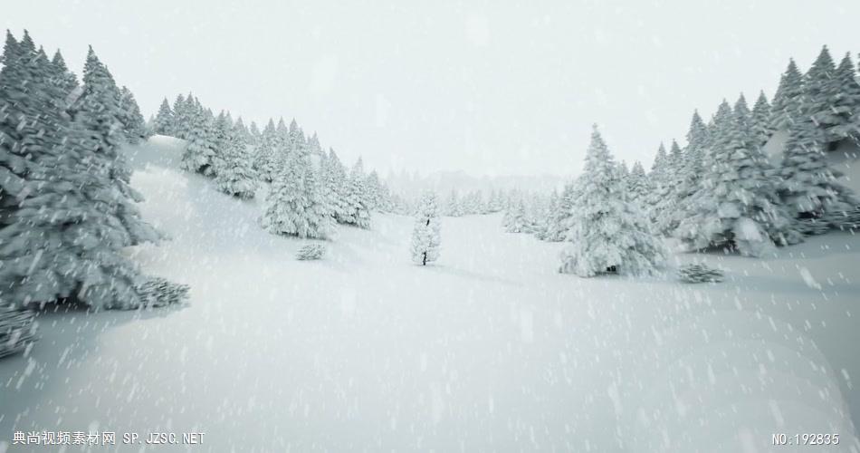 下雪的圣诞树森林下雪的圣诞树森林下雪的圣诞树森林_batch 视频素材下载