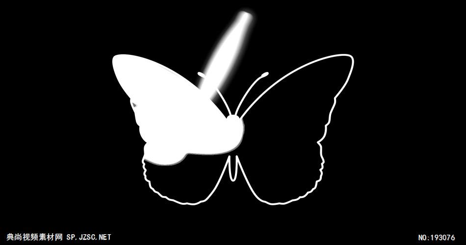 卡通动物绘画过程  ButterflyAlpha 视频素材下载