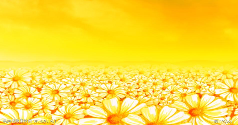 太阳花循环背景素材  SunflowerDazeSD 视频素材下载