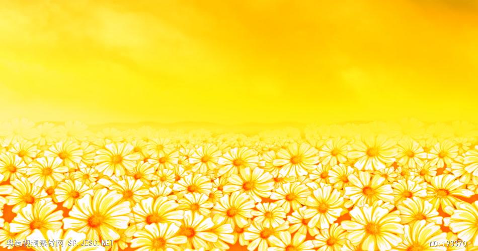 太阳花循环背景素材  SunflowerDazeHD 视频素材下载