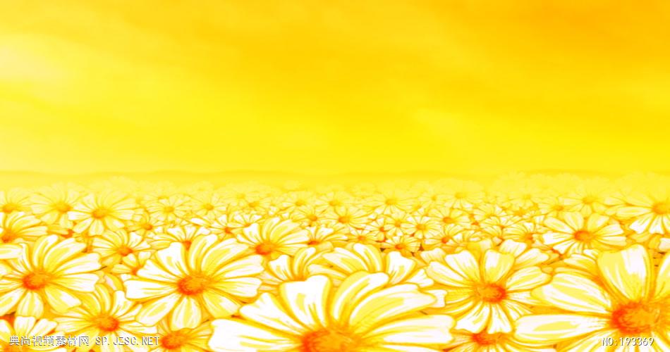 太阳花循环背景素材  SunflowerDazeSD 视频素材下载