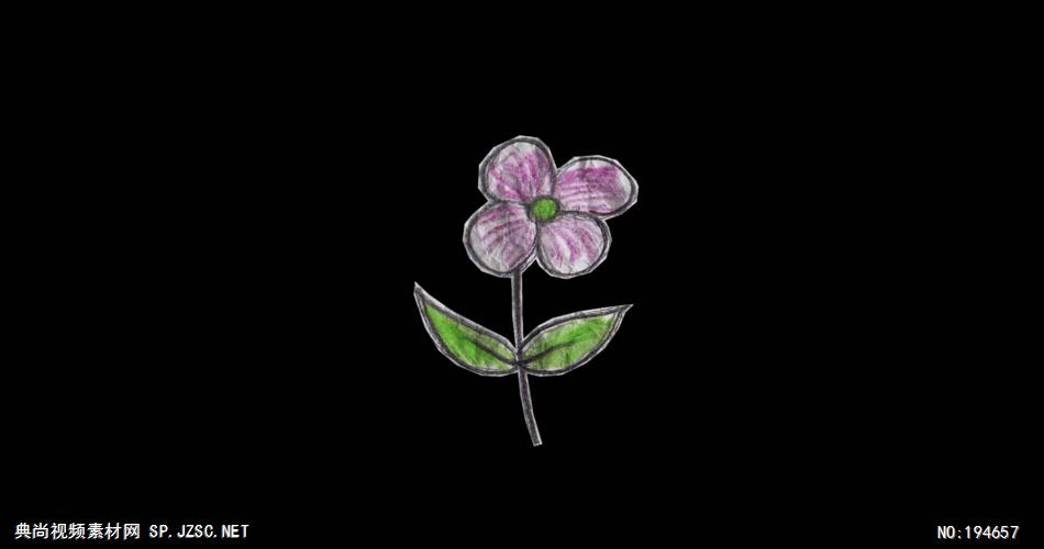纸质装饰元素  (   )Plant3 视频素材下载