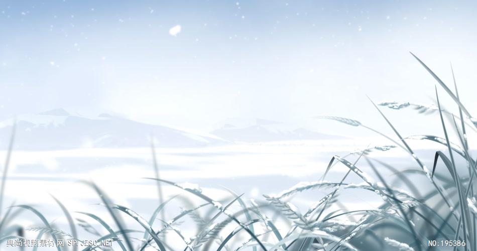被雪覆盖的小草和大地素材  CatchingWinterHD 视频素材下载