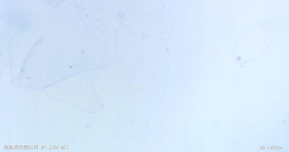 胶片特效视频素材  __bleachedfilm03 视频素材下载