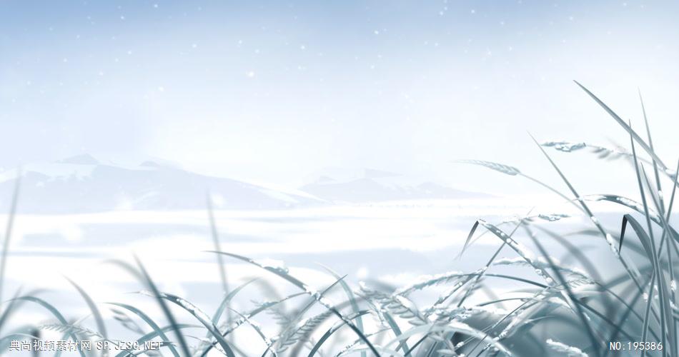 被雪覆盖的小草和大地素材  CatchingWinterHD 视频素材下载