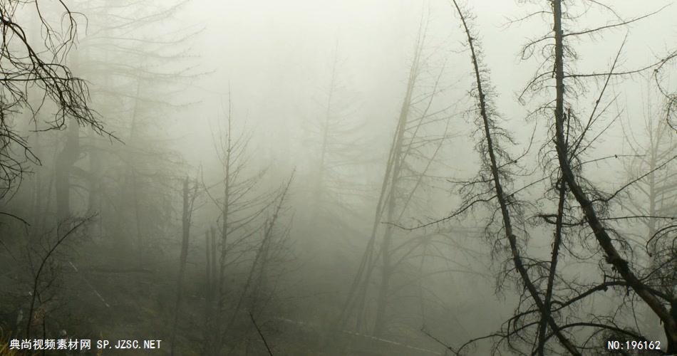 雾气弥漫的画面  CloudsountainsTrees 视频素材下载