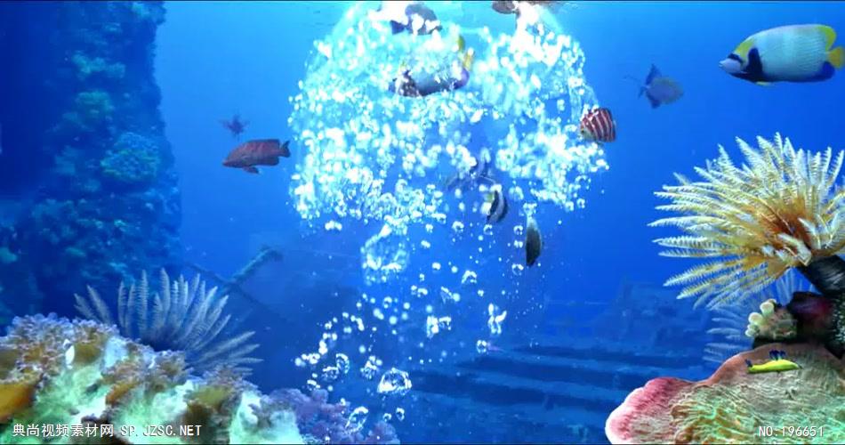 -海底鱼群水母婚礼套----海底鱼海底鱼群水母婚礼水底海洋大海