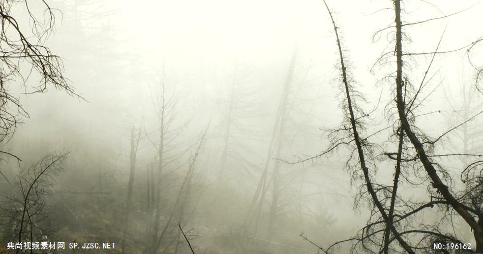 雾气弥漫的画面  CloudsountainsTrees 视频素材下载
