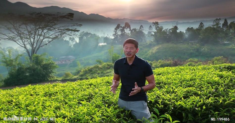 斯里兰卡茶业720P高清中国企业事业宣传片公司单位宣传片