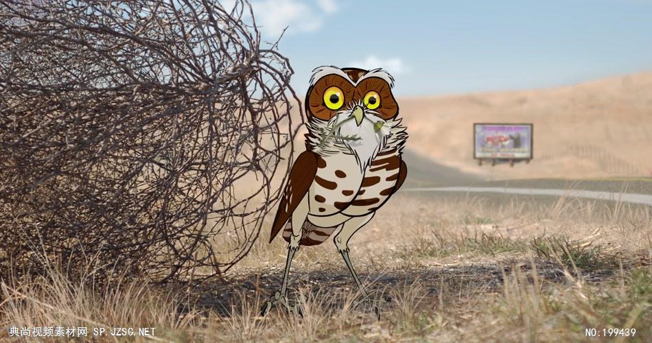 穴居猫头鹰的隐秘生活 The Hidden Life of the Burrowing Owl企业事业单位公司宣传片外国外宣传片
