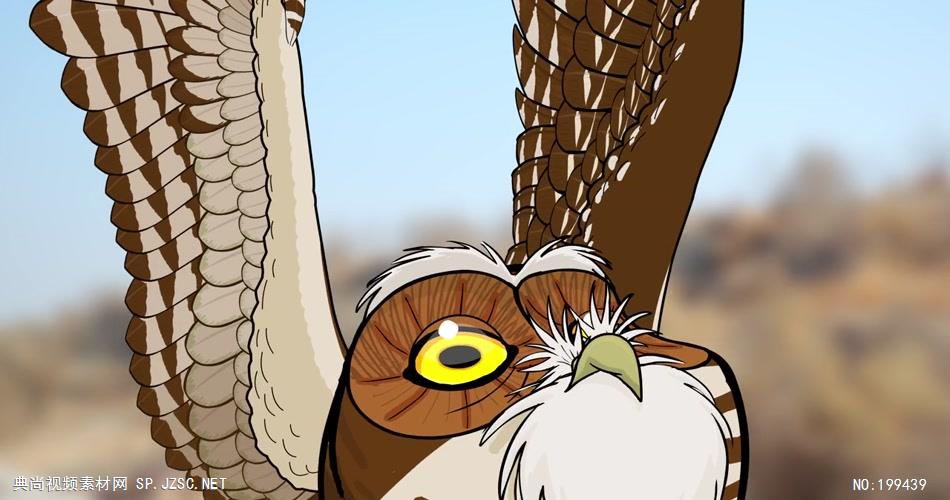 穴居猫头鹰的隐秘生活 The Hidden Life of the Burrowing Owl企业事业单位公司宣传片外国外宣传片