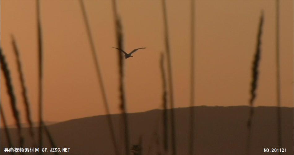 夕阳下的自然风光2中国名胜风景标志性景点高清视频素材