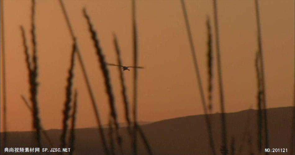 夕阳下的自然风光2中国名胜风景标志性景点高清视频素材