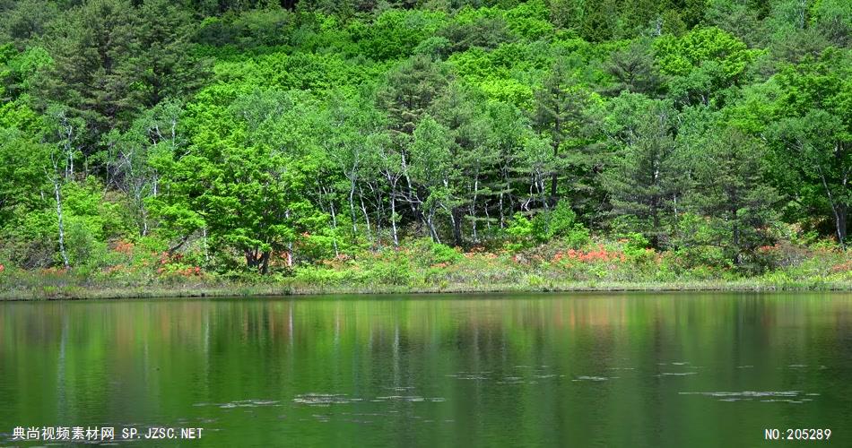 ［4K］ 高原静湖 4K片源 超高清实拍视频素材 自然风景山水花草树木瀑布超清素材