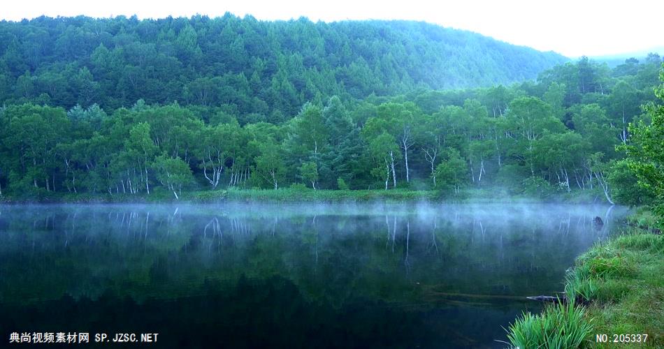 ［4K］ 夏季森林 4K片源 超高清实拍视频素材 自然风景山水花草树木瀑布超清素材