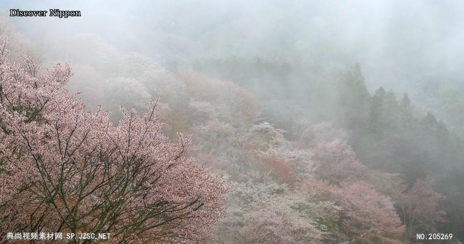 ［4K］ 吉野山仙境 4K片源 超高清实拍视频素材 自然风景山水花草树木瀑布超清素材