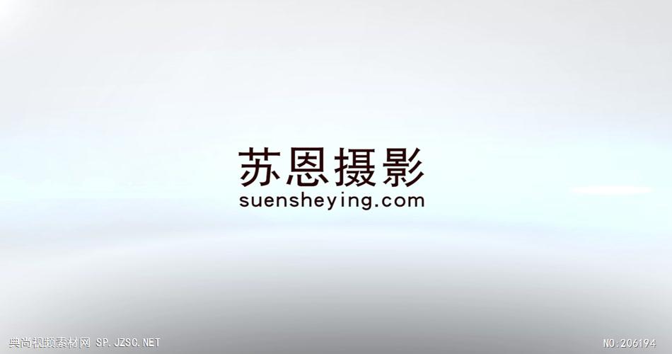 S-016-水墨Logo片头Pr模板