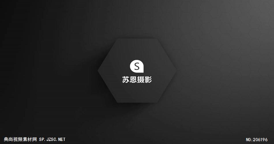 S-010-多组炫酷扁平企业Logo演绎片头Pr模板