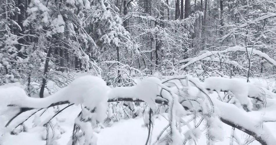 冬天冬景雪地大雪4K视频素材