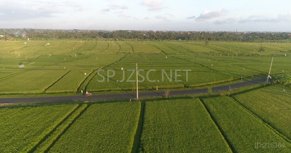 航拍农田稻田现代化农业耕种生产背景视频