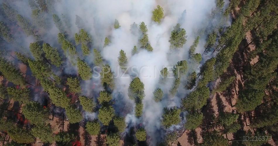 森林大火航拍森林火灾视频素材