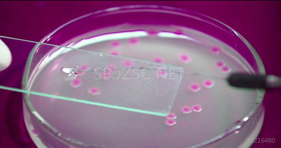 医疗卫生生物科研科学实验