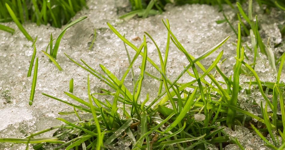 冰雪融化延时摄影万物复苏特写镜头写意视频素材