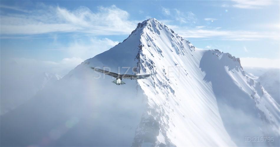 老鹰翱翔飞翔雪山巅峰企业前景写意视频素材