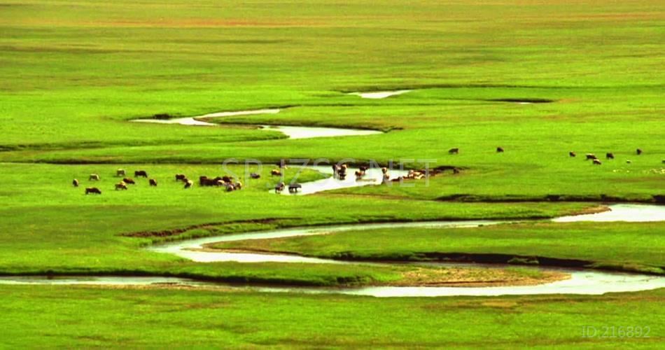 蒙古大草原延时摄影