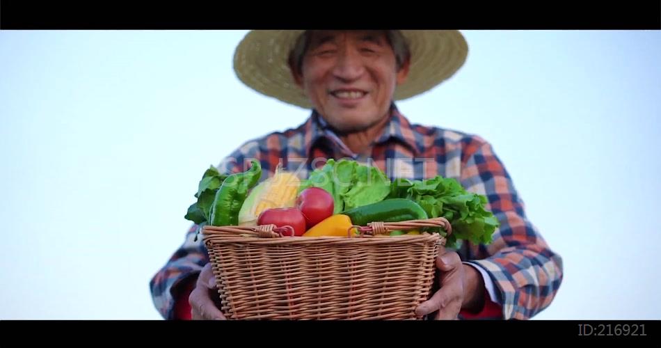 新鲜农家菜园无污染绿色蔬菜宣传视频素材