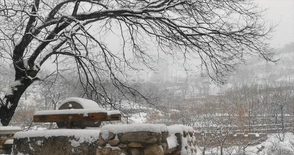 村庄雪景石墨大雪纷飞视频素材