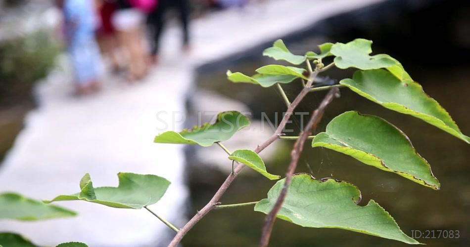 快艇 瀑布 溪水 树 人 4K 超清视频