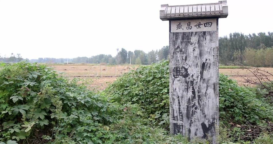 石碑 农村墓地 田地 小草 4K 超清 视频