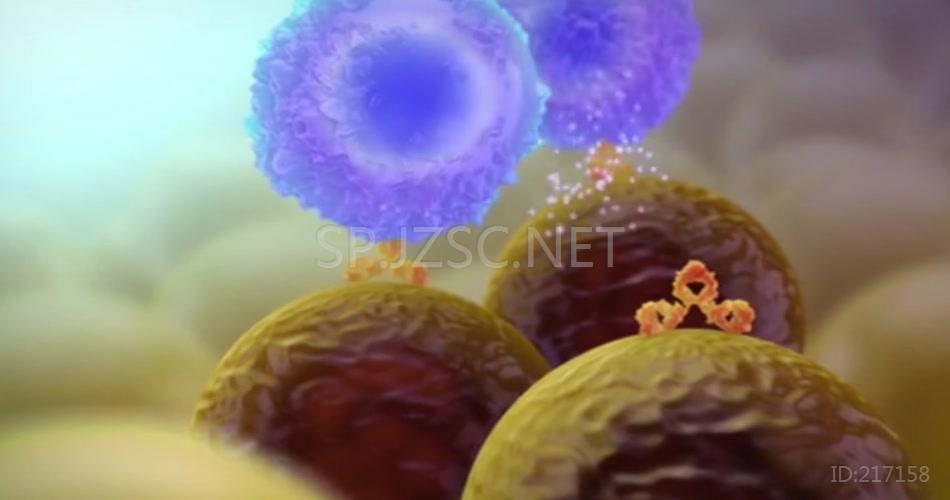 三维细胞分子结构微生物微观模型动画病毒