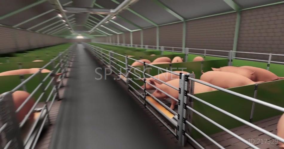 三维机理动画养殖场种猪改良育种优化背景视频