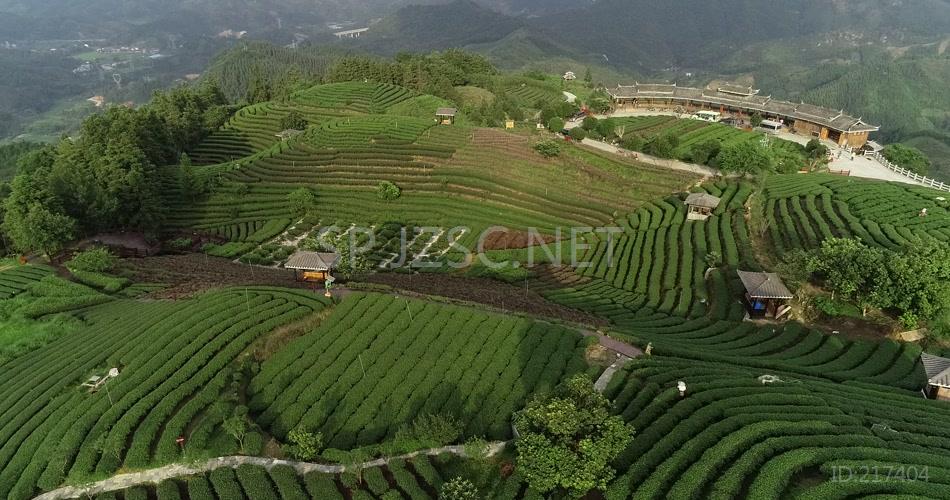 茶园山庄航空巡拍视频实拍视频