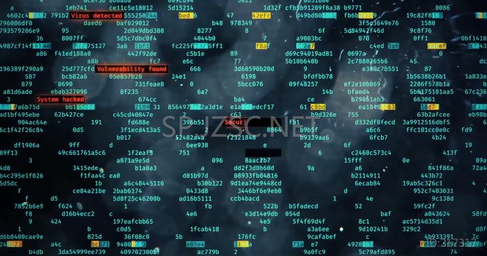商务信息数字科技黑客代码入侵防御