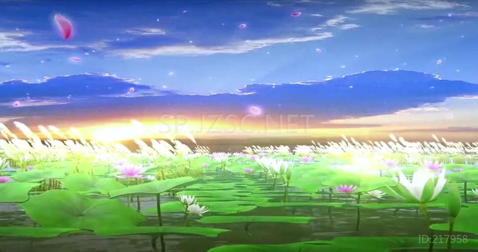 9小天使《采莲》_1