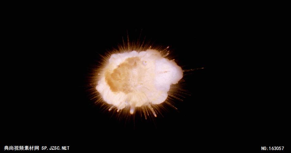 爆炸效果（高清）RE314H中国实拍视频素材 视频下载中国实拍