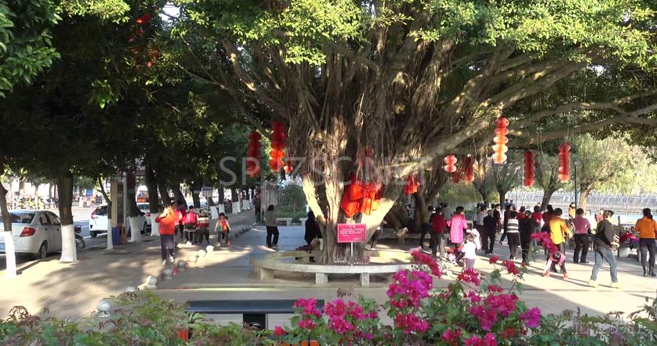 4k夕阳夕照公园老人休闲广场舞幸福生活晚年