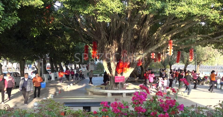 4k夕阳夕照公园老人休闲广场舞幸福生活晚年