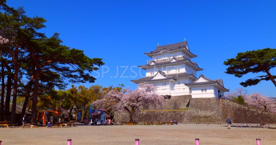 远景拍摄日本樱花实拍视频素材