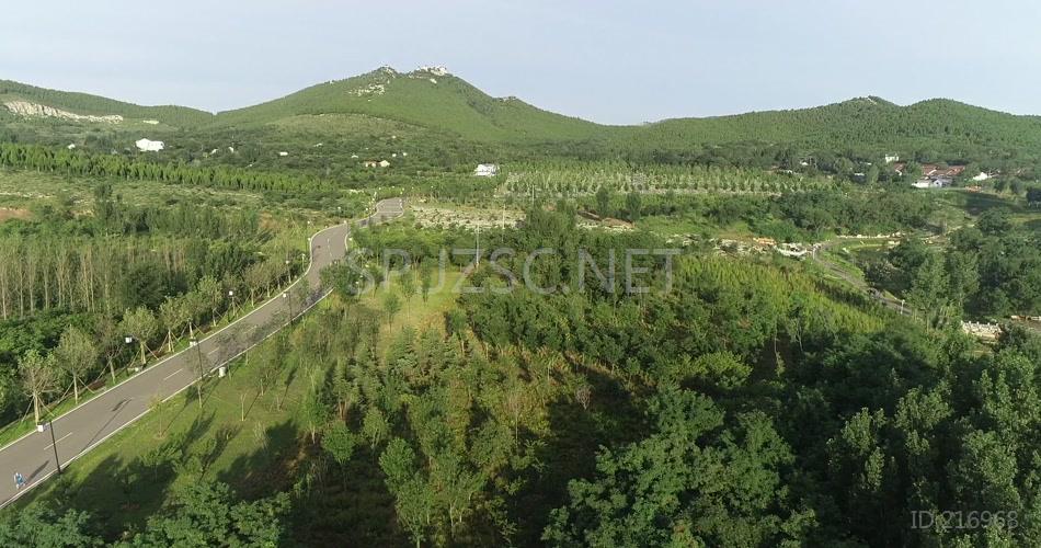 航拍体育公园绿色运动休闲公园视频素材
