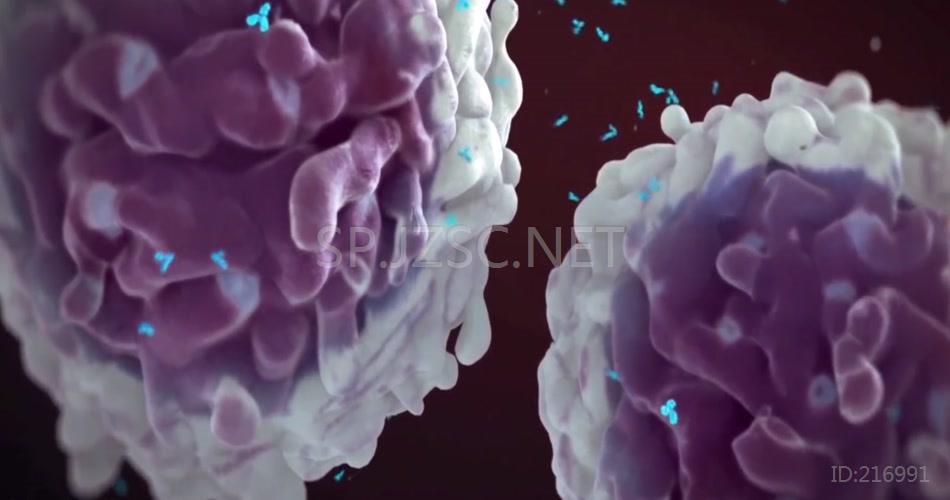人乳头状瘤病毒（HPV）医疗动画视频素材